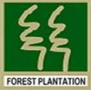 Forest Plantation Development Sdn Bhd