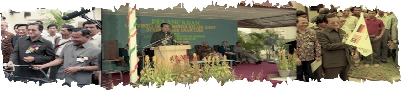 Perasian Projek Rintis